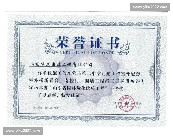 荣誉奖项背后的荣耀与奋斗故事全面盘点